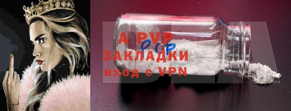 шишки Абаза