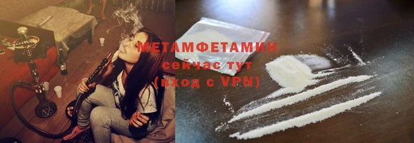 шишки Абаза
