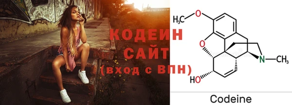 шишки Абаза