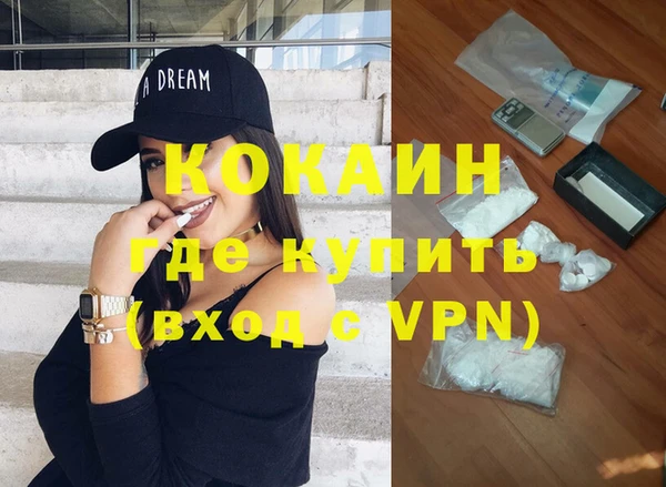 шишки Абаза