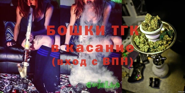 ECSTASY Няндома