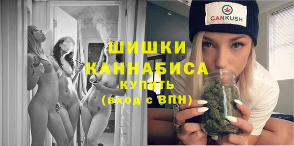 шишки Абаза